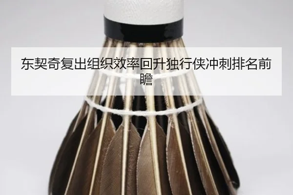 东契奇复出组织效率回升独行侠冲刺排名前瞻 | MKSPORTS